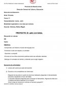 Proyecto el gato con botas