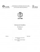 Análisis de los portales PubChem/Chem ID y SciFinder