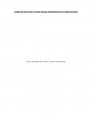 El uso desmedido de la fuerza y de las armas de fuego