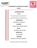 Ensayo sobre importancia de la alimentación