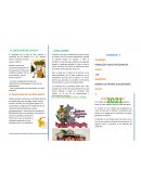 Castellano del Perú