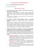 Voluntarios Organizacionales