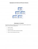 Organigrama de la Gerencia de Recursos Humanos