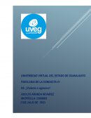 La violencia y la agresividad