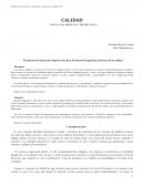 Calidad inicio, desarrollo e importancia