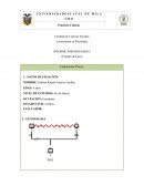 Infome psicodinámico