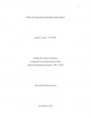 Análisis De Aplicaciones Informáticas Empresariales I