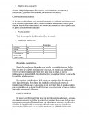 Test de caras informe