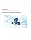 Evidencia de Aprendizaje: La herramienta adecuada