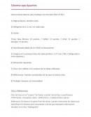 Sistema APA Apuntes