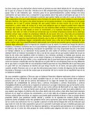 Ensayo sobre la vida de una empresa