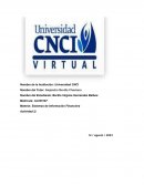 Sistemas de Información Financiera