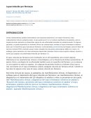 El lupus inducido por fármacos