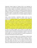 Organización nacional indígena de Colombia (ONIC)