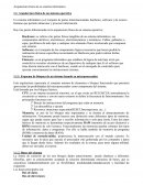 Arquitectura fisica de un sistema informatico