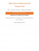 Práctica Empresaria en el Régimen de Promoción Industrial de Tierra del Fuego