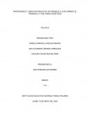 Propiedades y líneas notables de un triángulo: explorando el triángulo y sus características