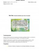 Veo Veo: Animales doméstico que viven en la granja