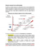 Historia Natural de la Enfermedad
