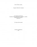 Ensayo Trabajo en equipo, Team work