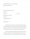 Informe nivel inicial, sala de 4