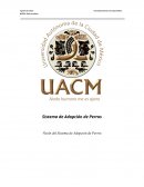 Visión del Sistema de Adopción de Perros