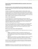 Clase Explicativa sobre Cultura Organizacional
