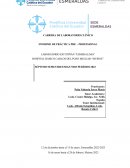 Laboratorio estupiñán “esmeraldas” Hospital Básico Carlos del Pozo Melgar “Musine”