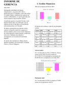Informe de gerencia