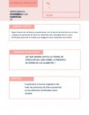 ¿De que manera afecta la fuerza de atracción del imán sobre la presencia de hierro en los alimentos ?