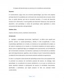 El impacto del docente hacia sus alumnos en la enseñanza constructivista