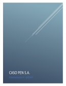 Caso PEN SA