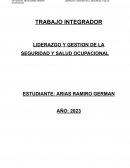 Liderazgo y gestion de la seguridad y salud ocupacional