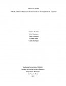 Diseño preliminar del proyecto de intervención en el corregimiento de Jongovito