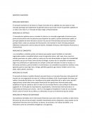 Mercados financieros