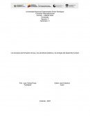 Los procesos de formación de las y los servidores públicos y la ecología del desarrollo humano