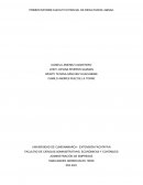 Primer informe ejecutivo parcial de resultados labsag