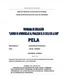 Pasantía de los docentes del nivel inicial y primaria focalizados por el programa de educacion