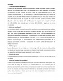 ¿Cómo es el aporte al capital?