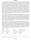 Valve Software Corporation