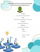 Grupos en las organizaciones y sus roles