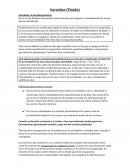 Garantías en sentido genérico: