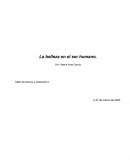La belleza en el ser humano