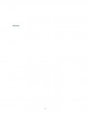 Manual de control interno