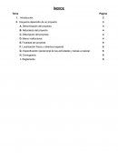 Proyecto Copa Don Orione