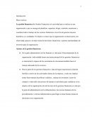 Alcance de la gestión financiera