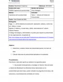 Cálculos de Índices de Productividad