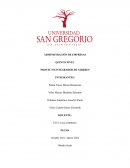 Proyecto integrador de saberes