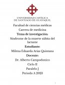 Síndrome de la muerte súbita del lactante