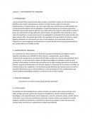 El uso excesivo de redes sociales